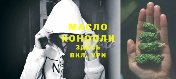 мдпв Богданович
