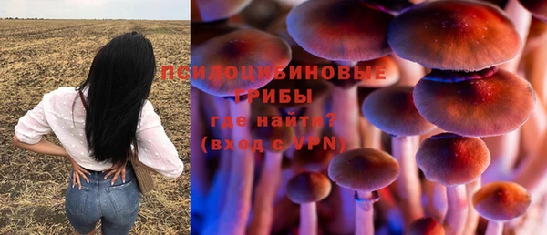 метамфетамин Богородицк