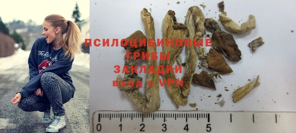 мдпв Богданович